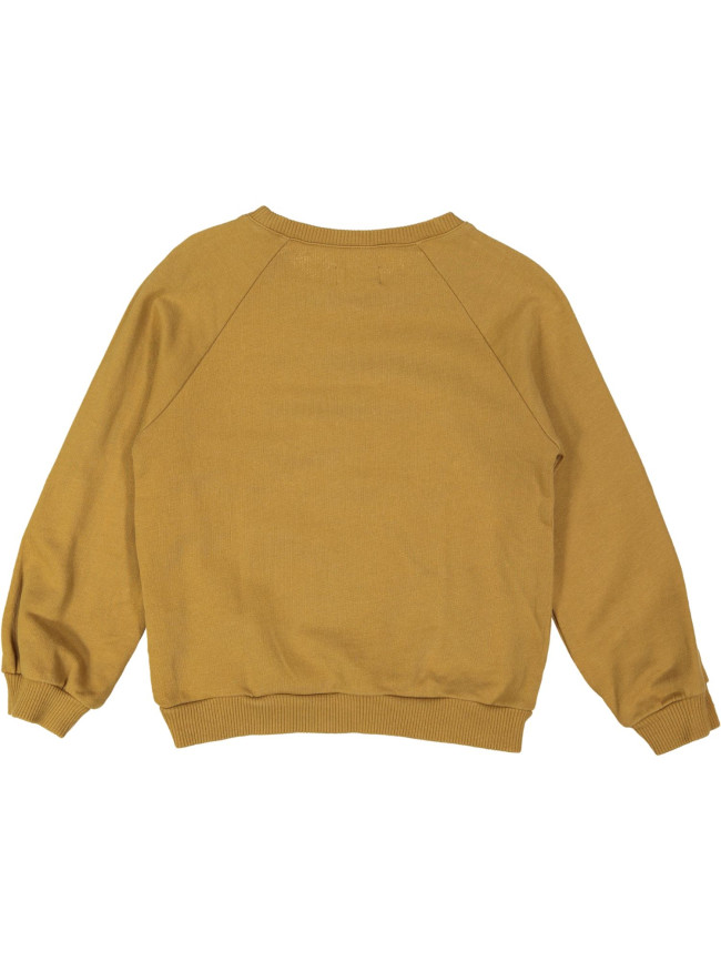 sweater bruin daisy cat 05j