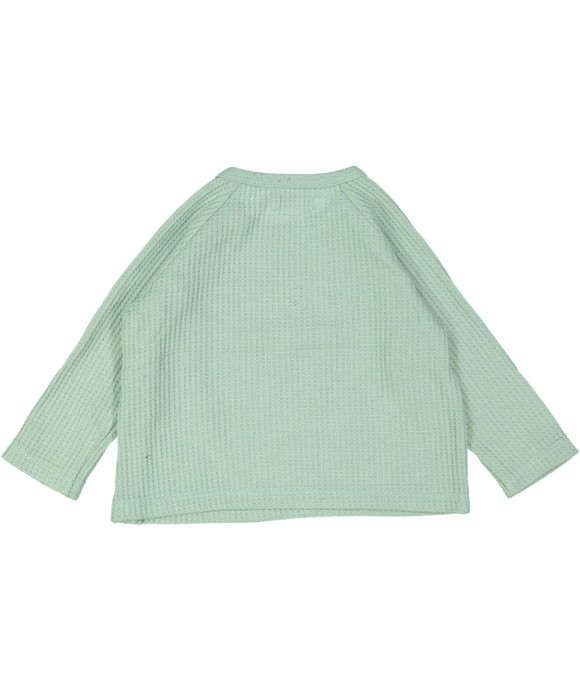 t-shirt groen tetra 06m