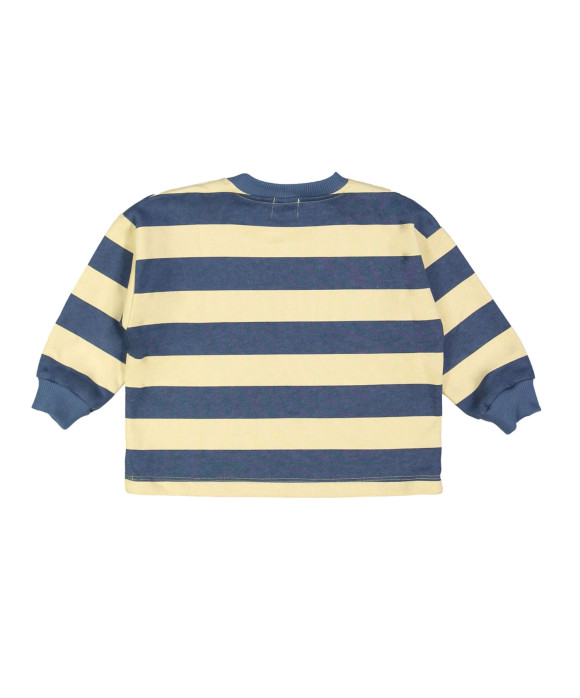 Sweater stripe fox navy