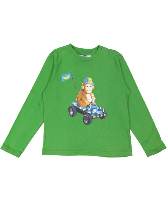 t-shirt groen aap in auto 10j