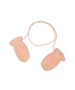 wanten teddy rose 06j-10j