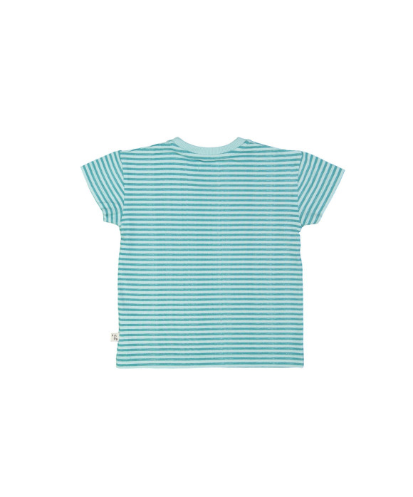 T-shirt stripe glacier