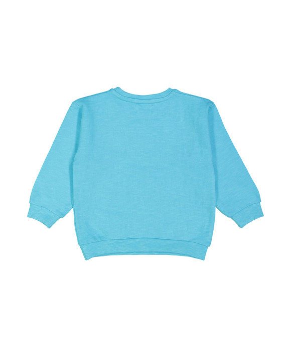 sweater treasure frog turkoois