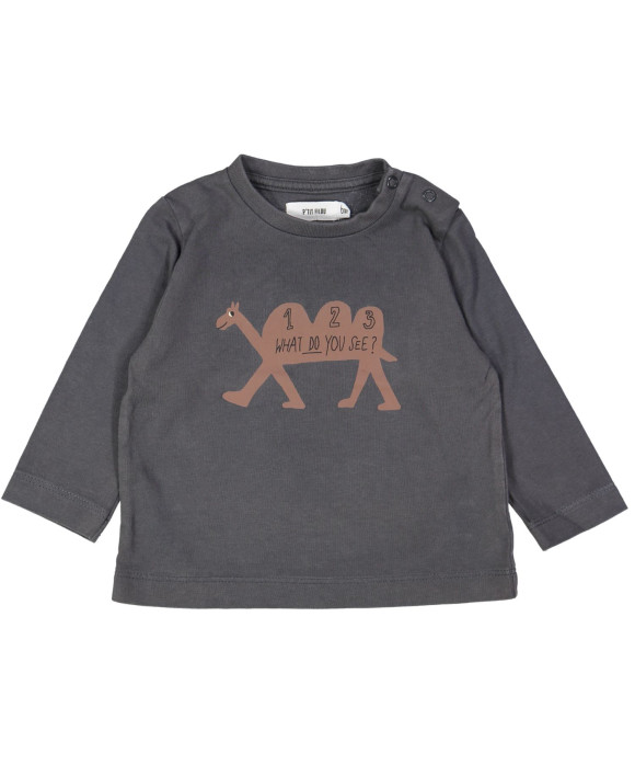 t-shirt grijs kameel 06m