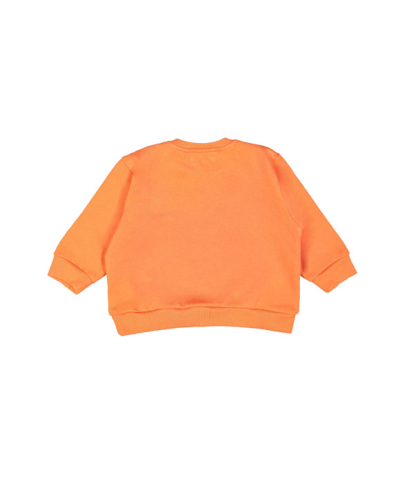 Sweater mini dog bright orange