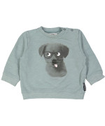 sweater groen hond 09m