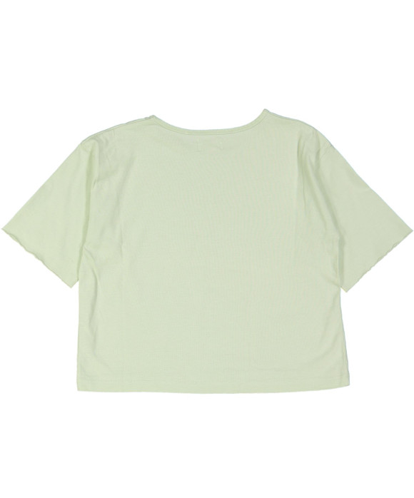 t-shirt groen zeeppaard 08j