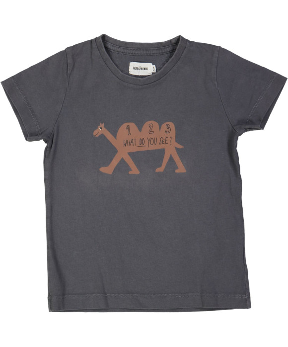 t-shirt grijs kameel 123 03j .