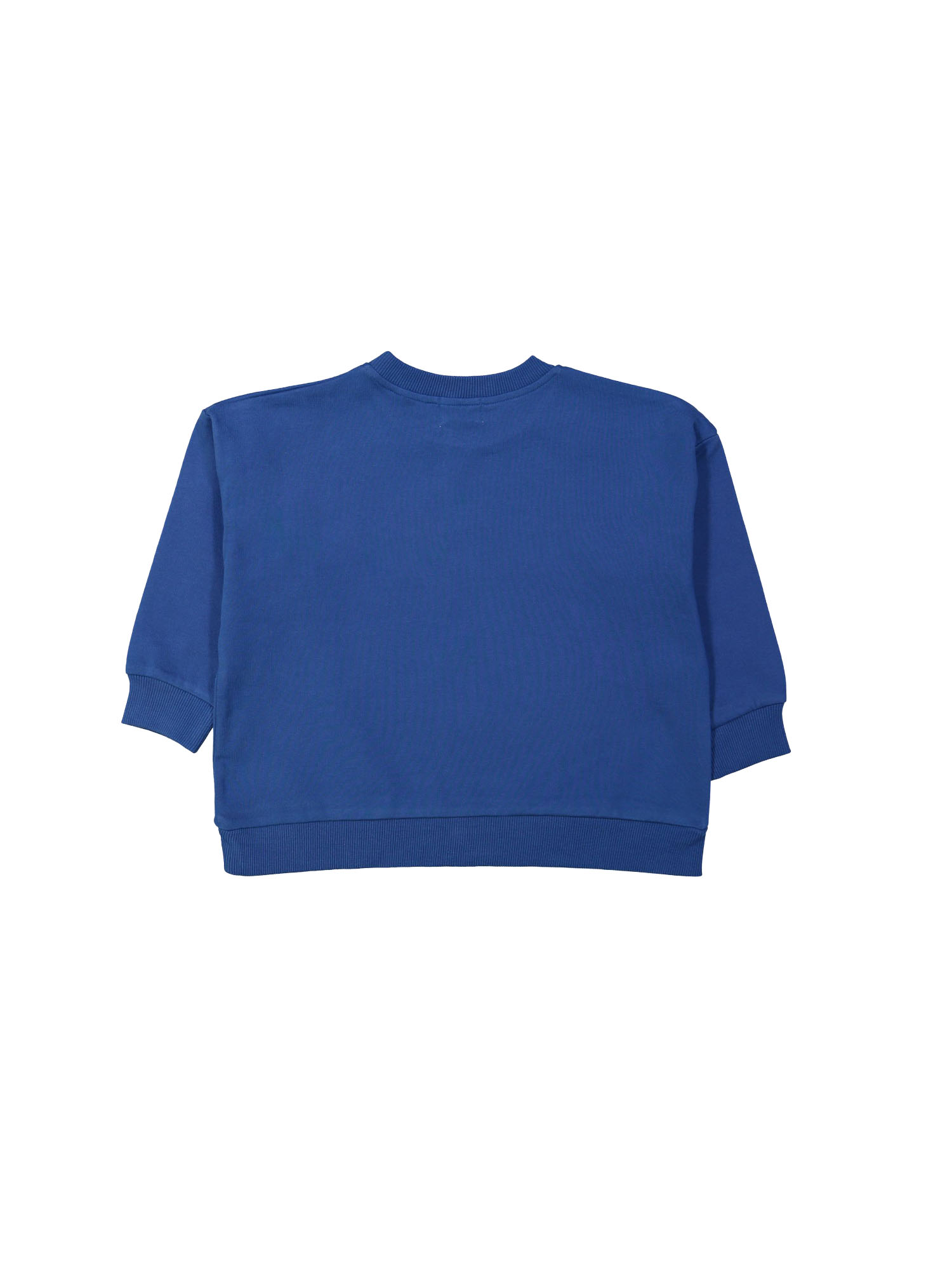 Sweater teckle kobalt 12m