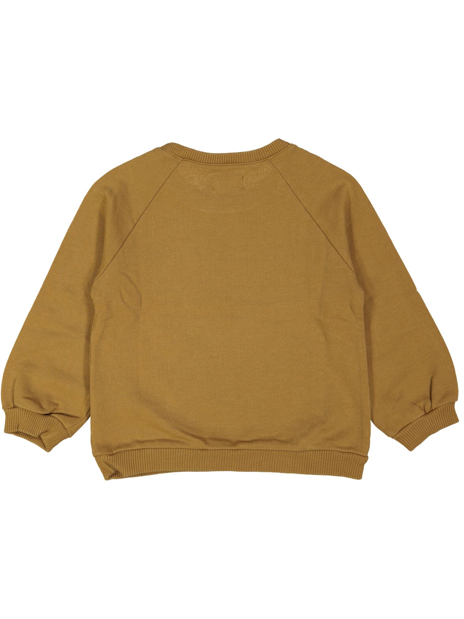 sweater bruin daisy cat 03j .