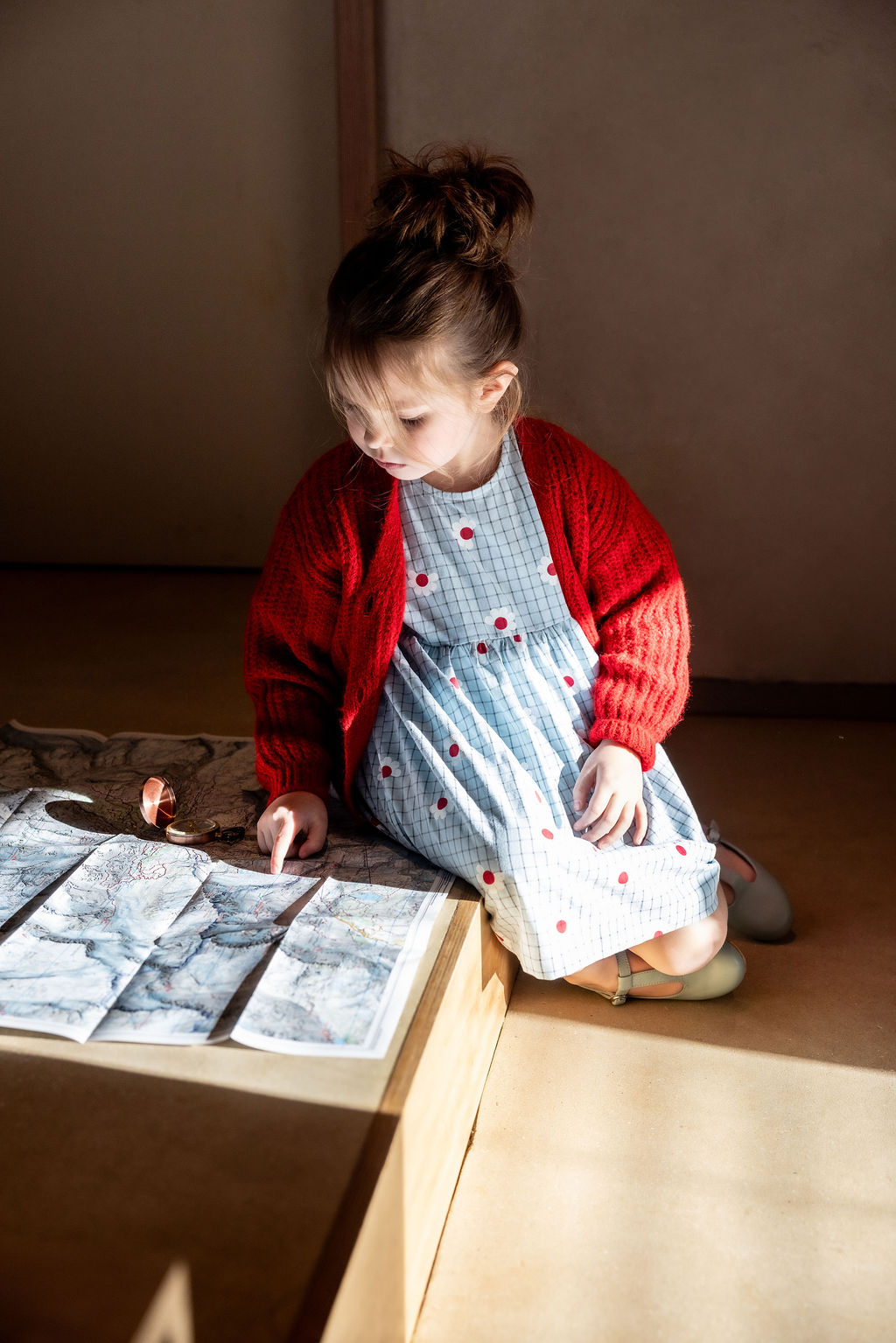 Dress check flowers light blue