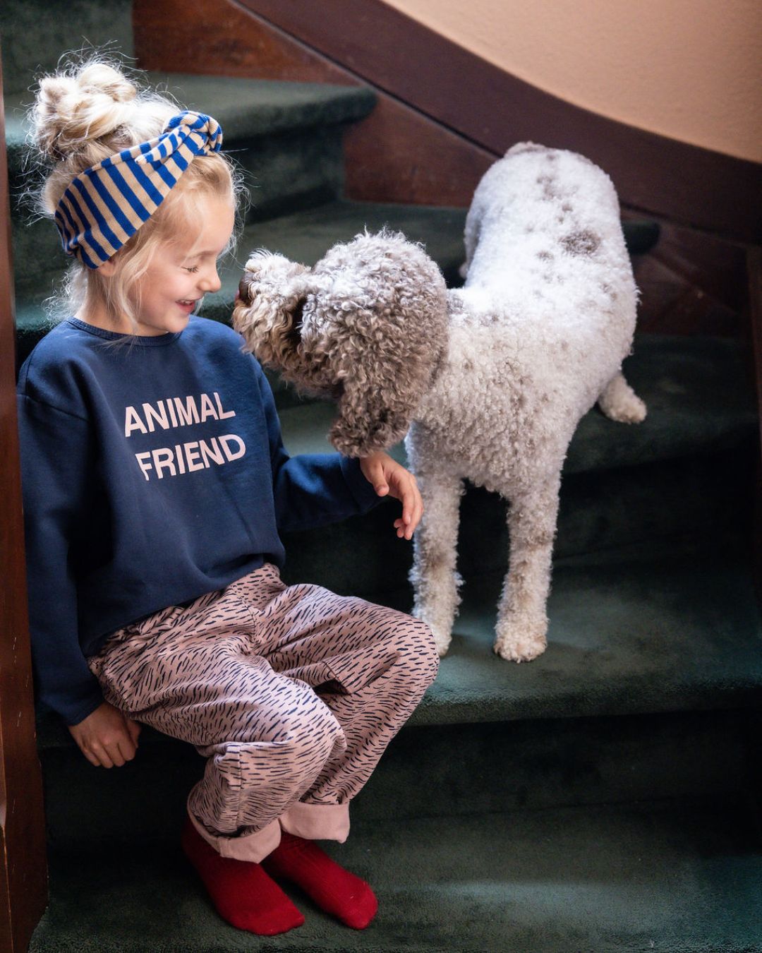 Filou & Friends