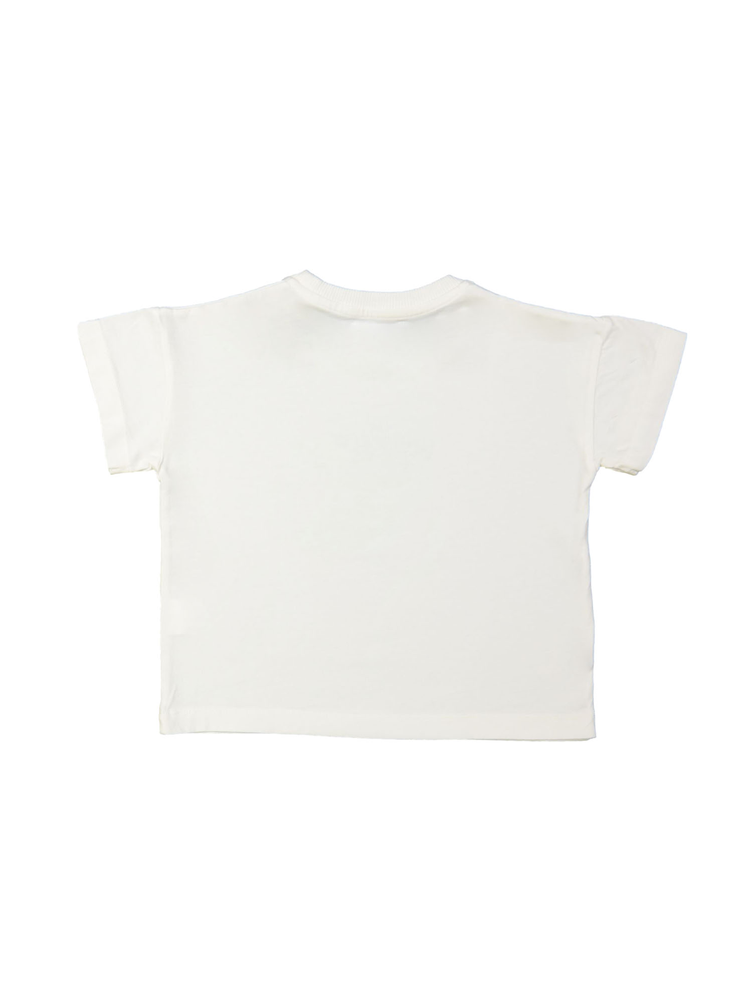 T-shirt shark ecru 12m