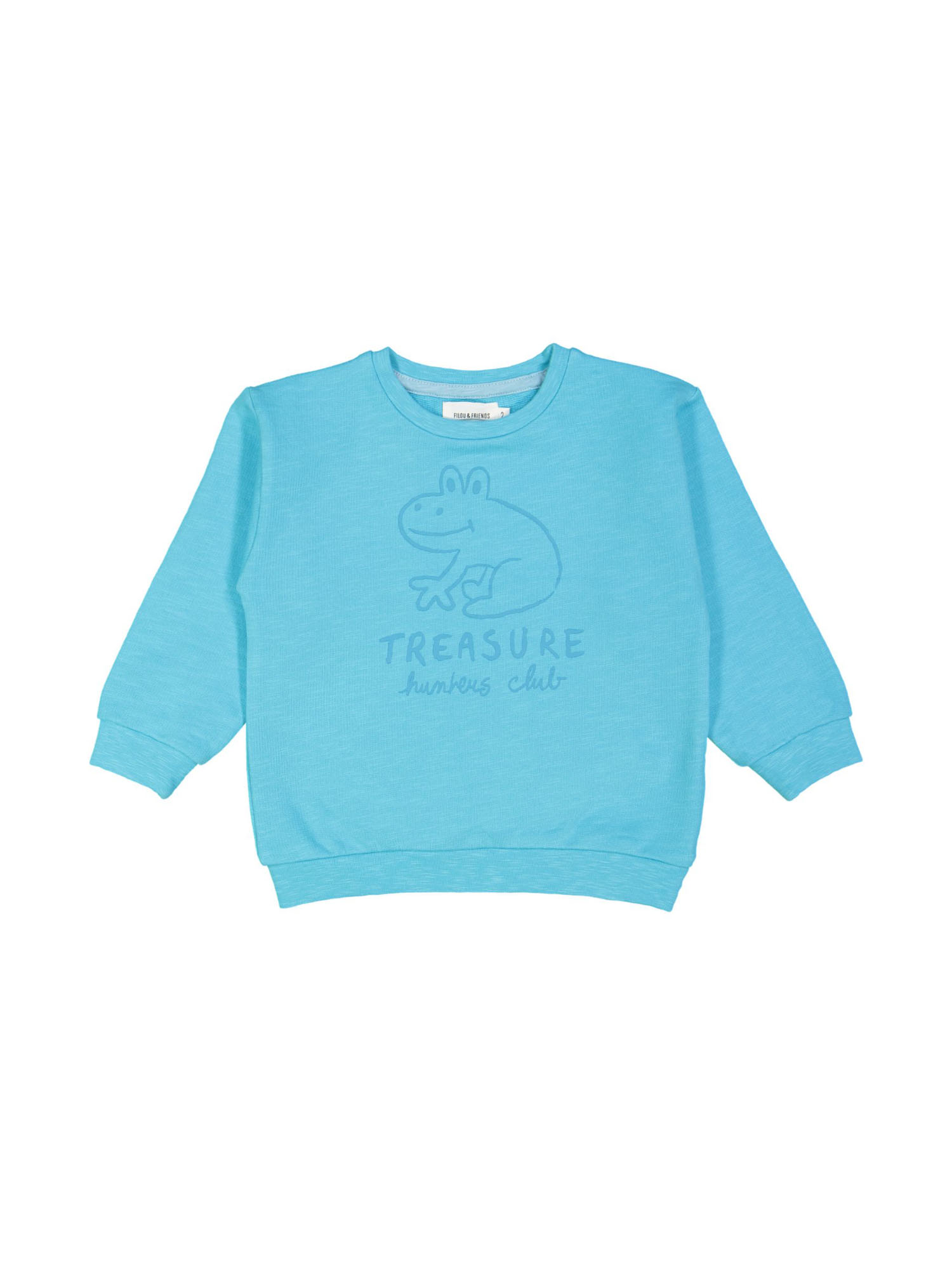 Vergelijken kamp Seizoen sweater treasure frog turkoois 02j | Filou & Friends
