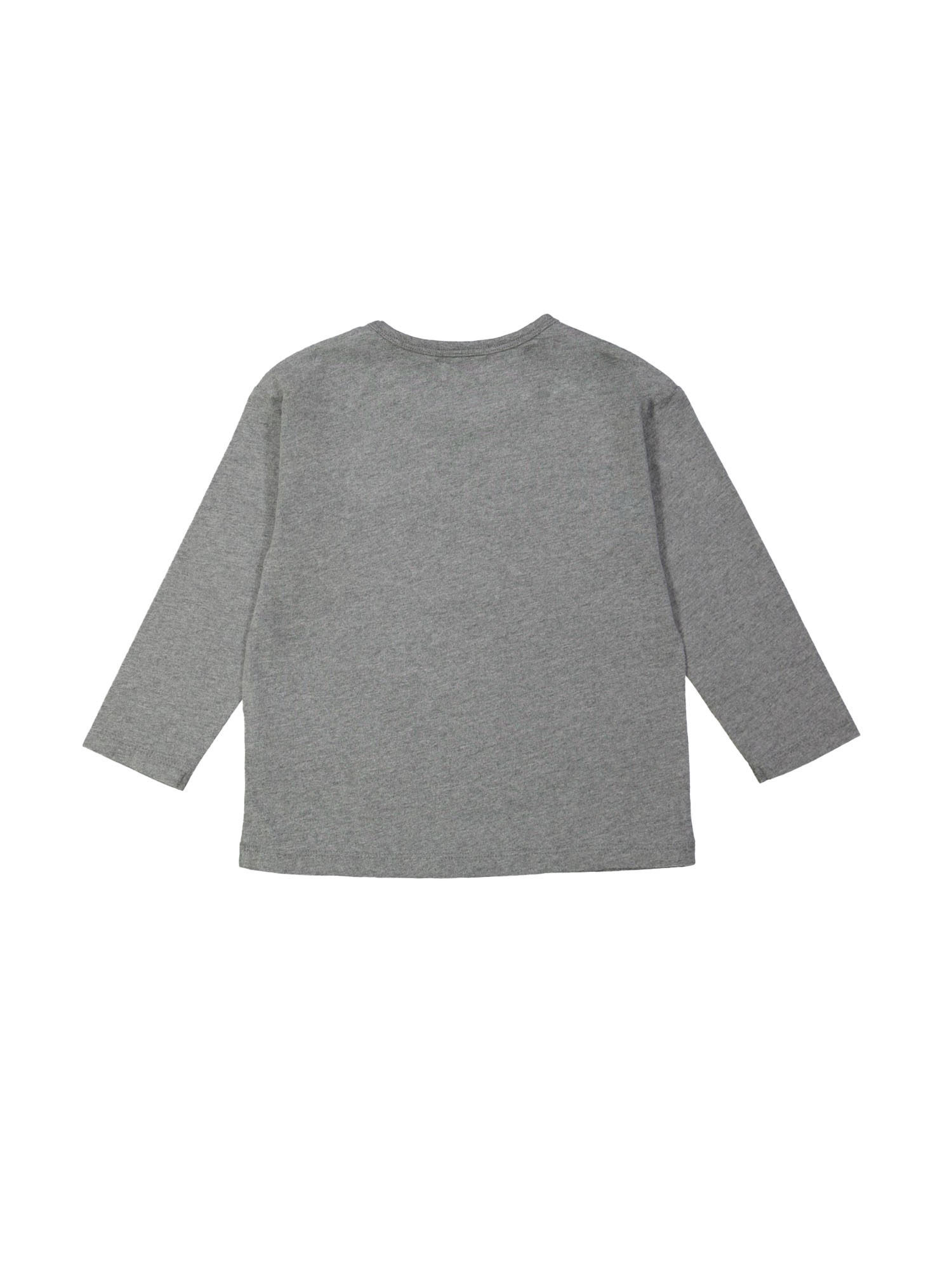 T-shirt chihuahua gray melange