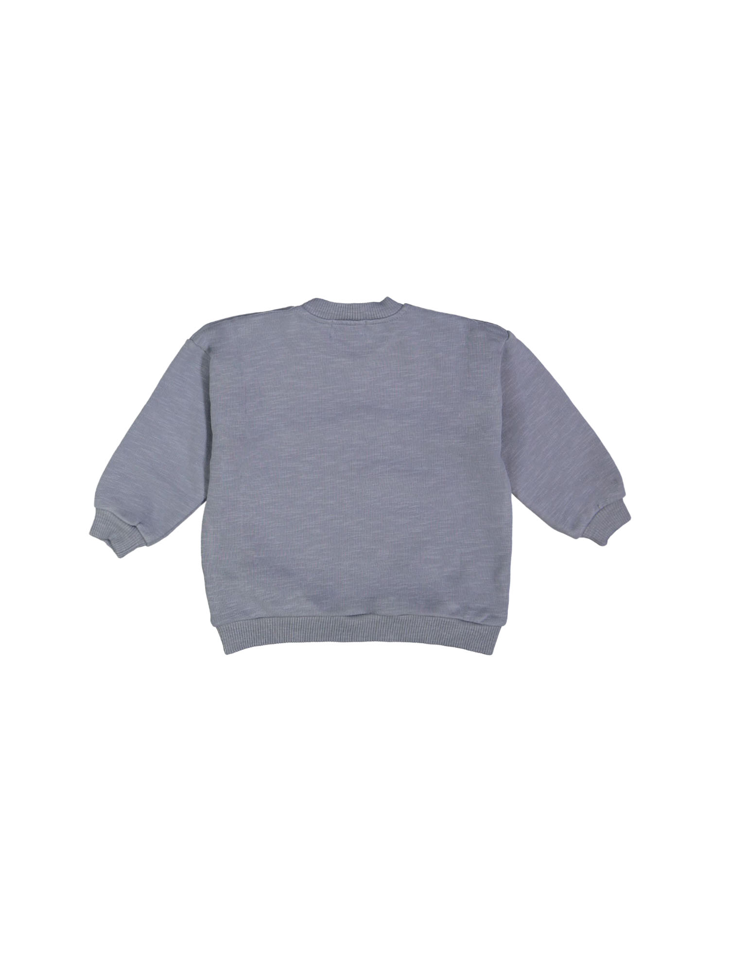 Sweater seagulls grijsblauw 12m