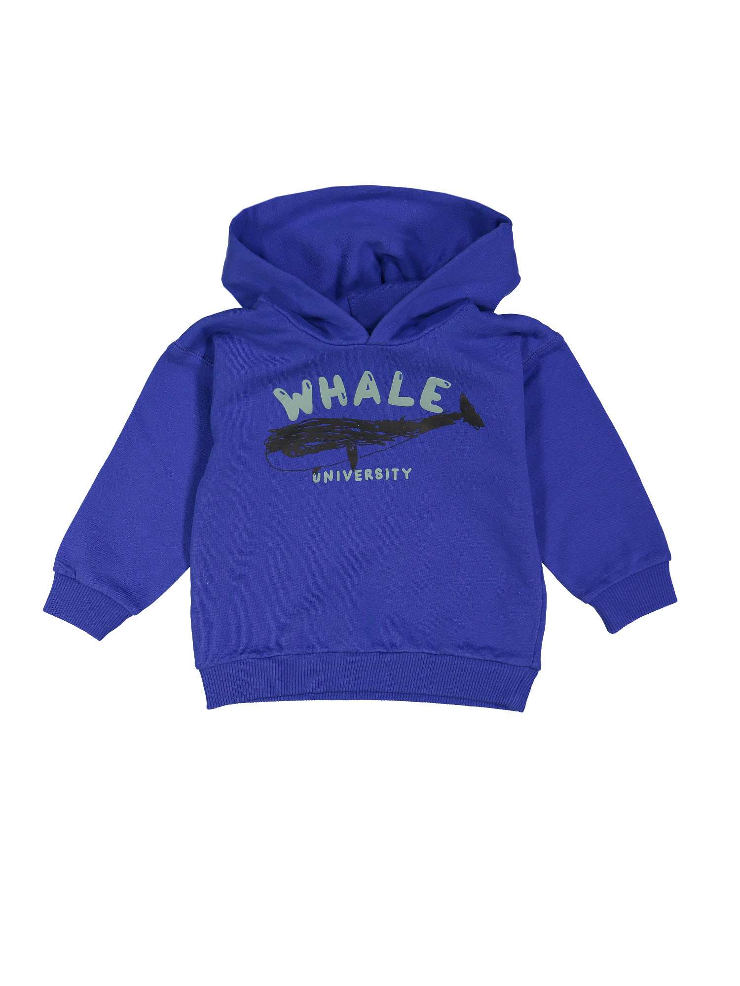 sweater whale university blauw 03j