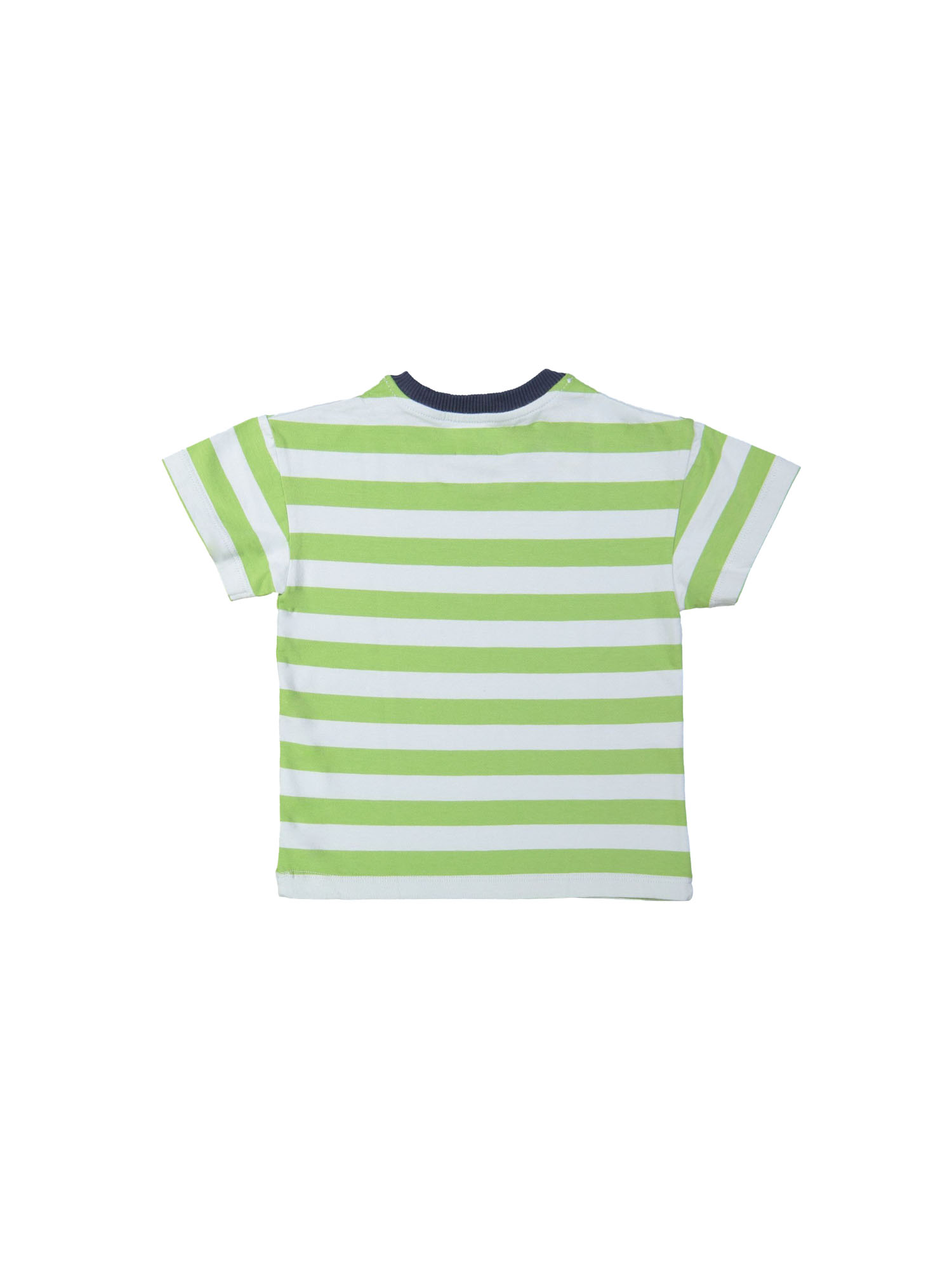 T-shirt stripe green