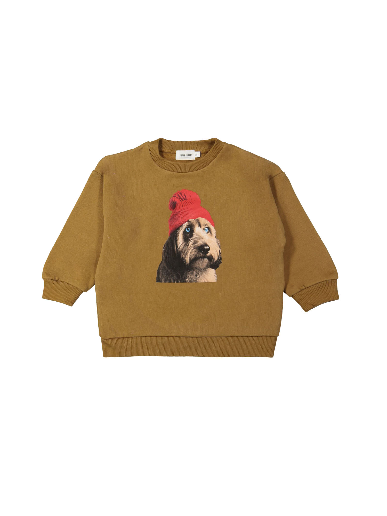 Sweater labradoodle mustard
