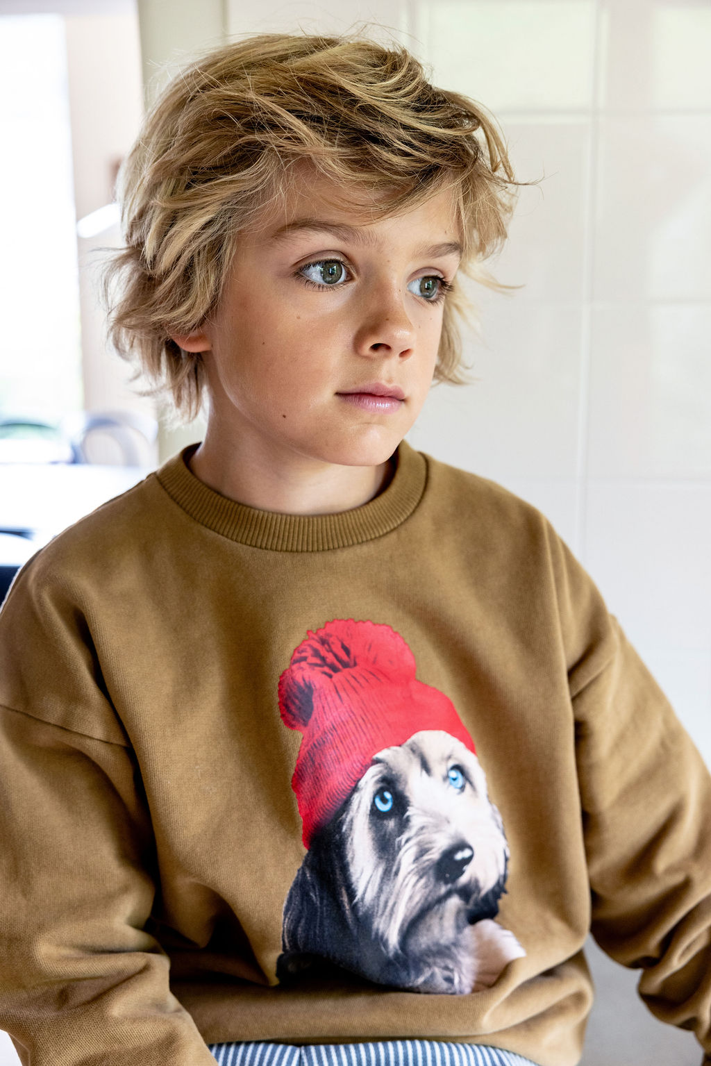 Sweater labradoodle mosterd 12m