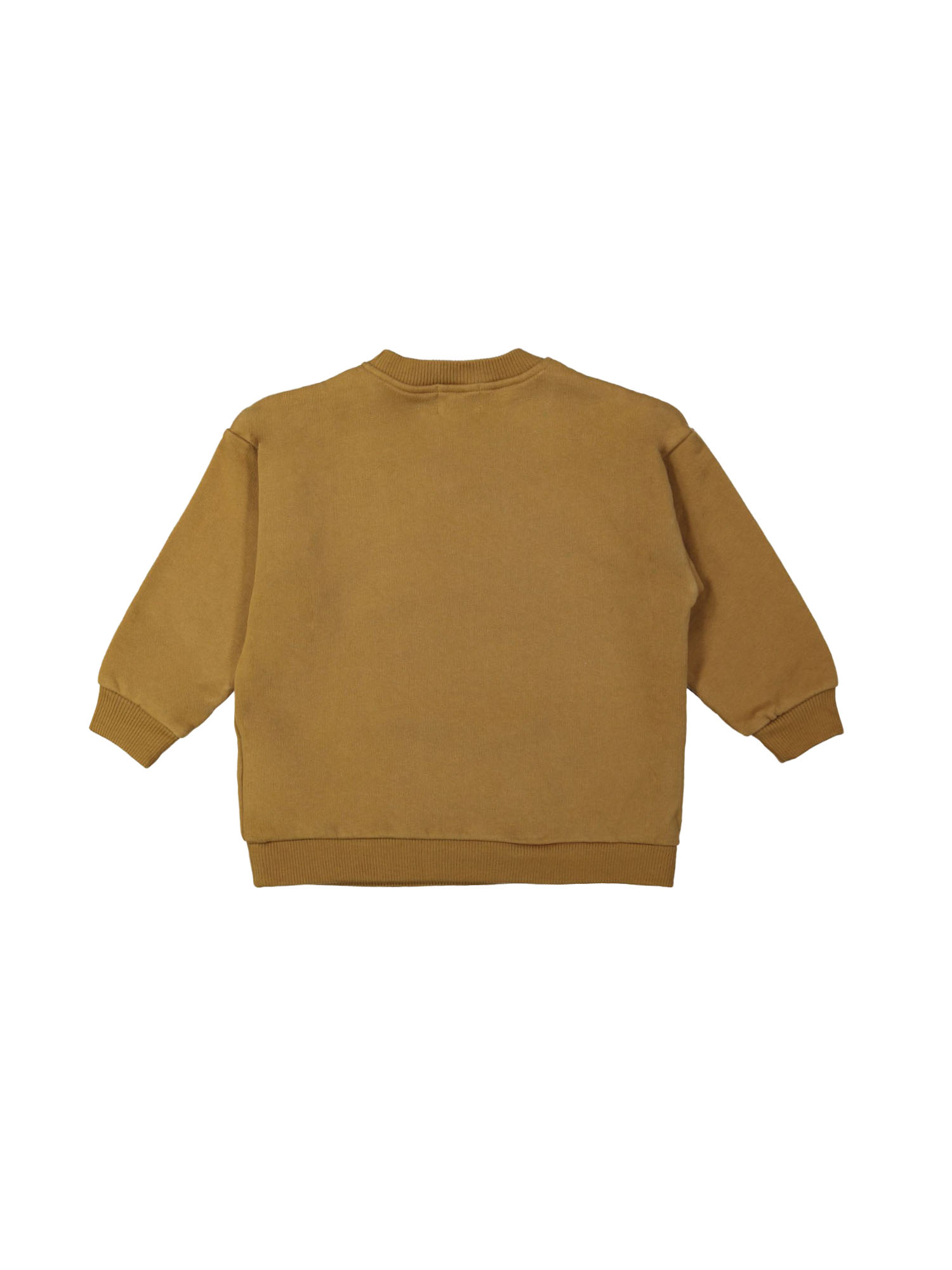 Sweater labradoodle mustard