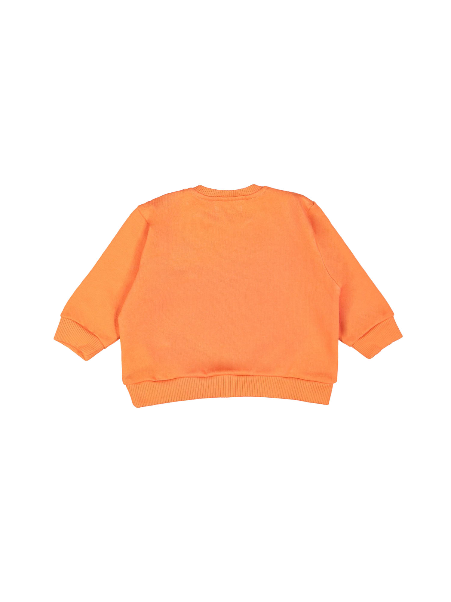 Sweater mini chien orange vif