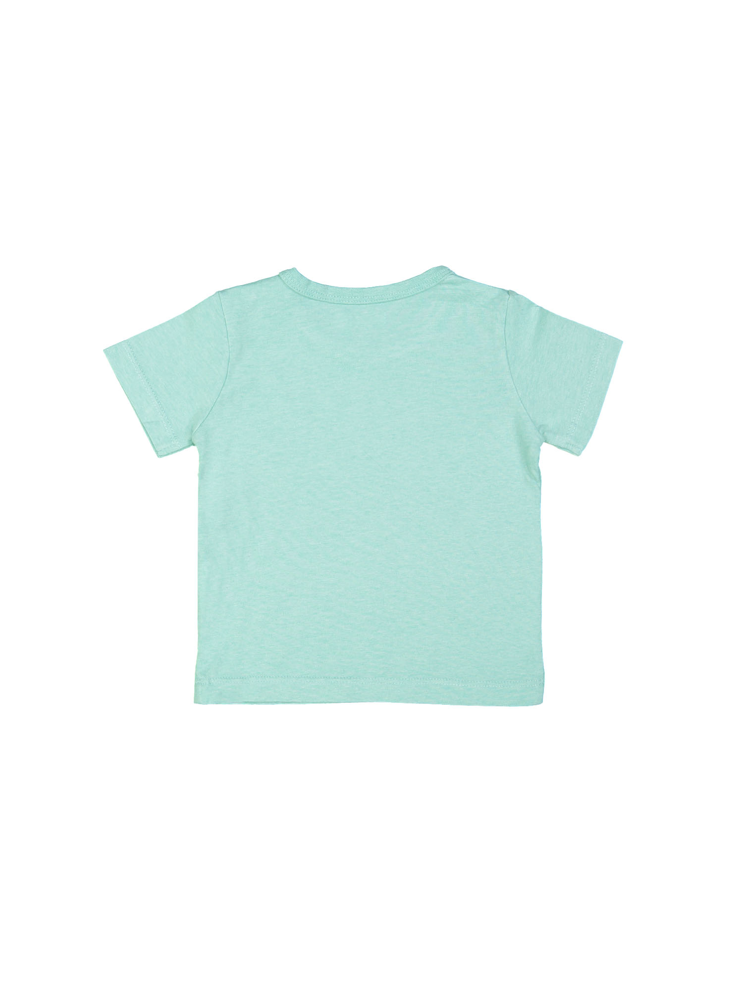 t-shirt mini pistacchio groen 06m