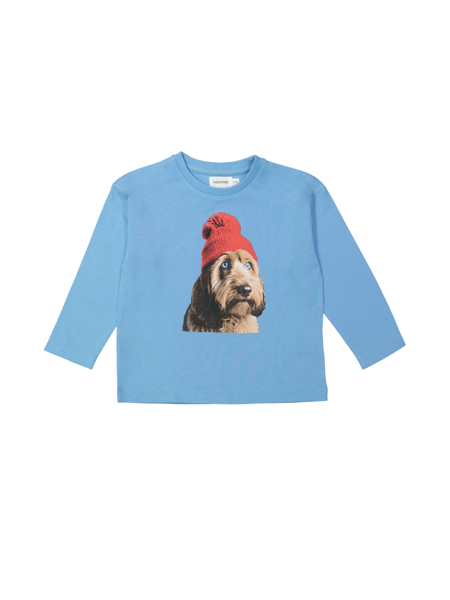 T-shirt labradoodle light blue