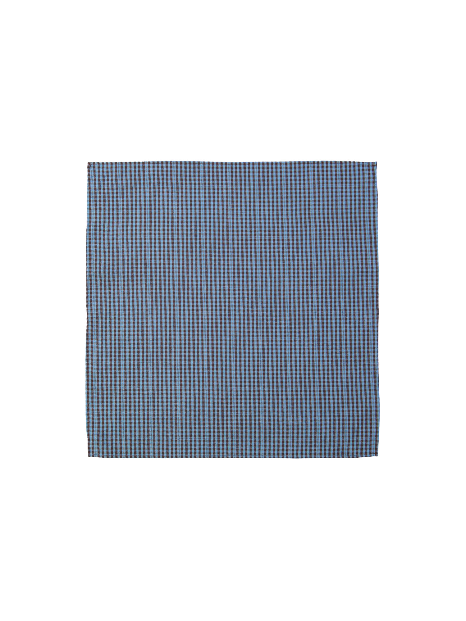 Scarf checks blue