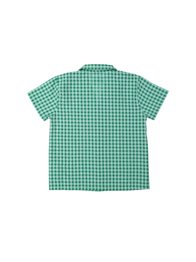 Hemd ruit groen 12m