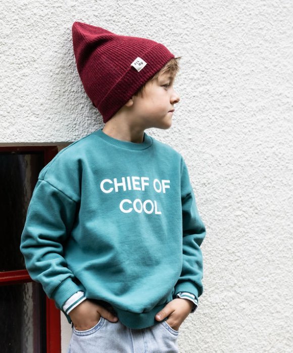 Sweater chief cool donkergroen