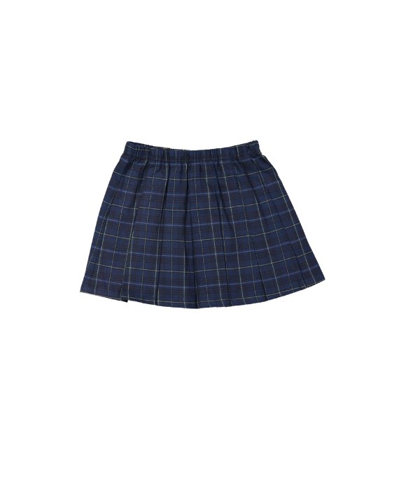 Rok ruit donkerblauw