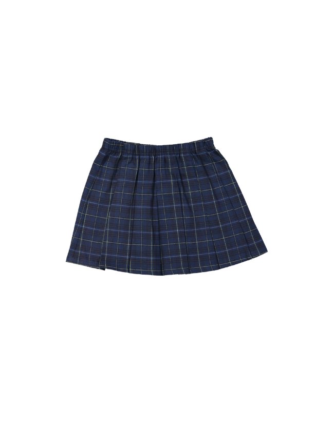 Rok ruit donkerblauw 02j