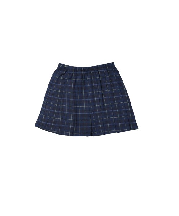 Rok ruit donkerblauw