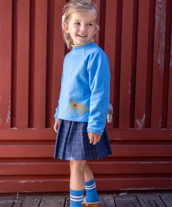Rok ruit donkerblauw