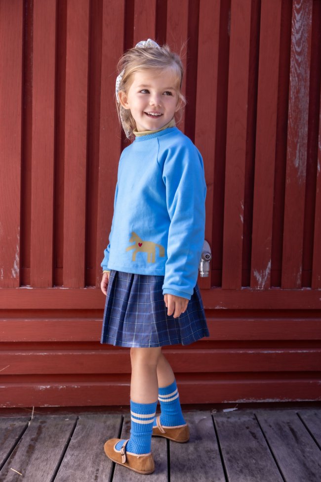 Rok ruit donkerblauw 02j