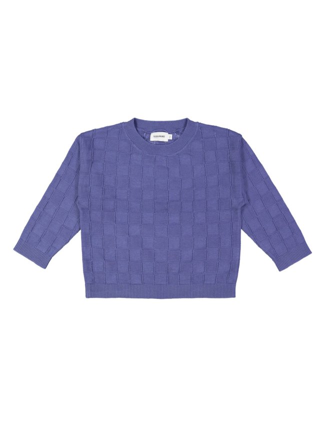 pull ruit blauw 07j