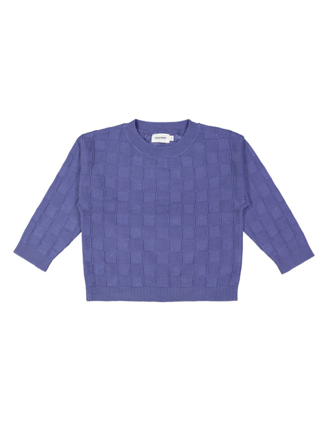 pull ruit blauw 07j