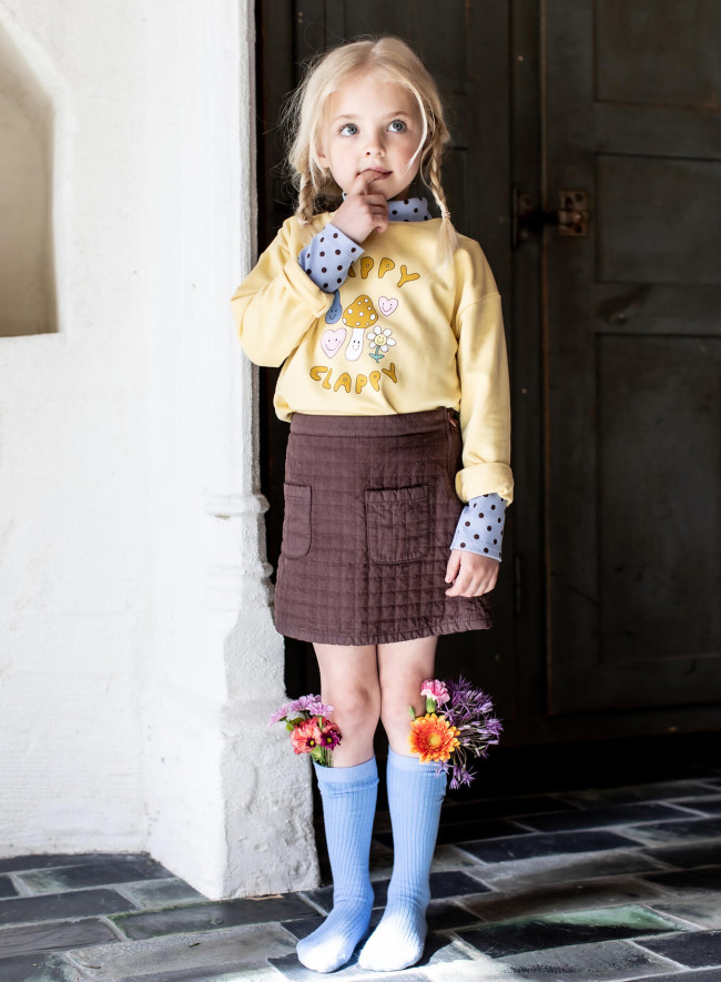 minirok recht bruin 02j