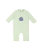 kruippak  bosbezzz muntgroen 00m