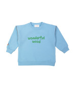 Sweater wonderful wood blauw 12m-18m