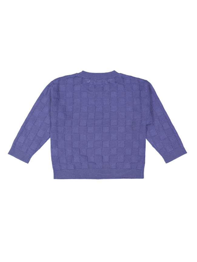 pull ruit blauw 07j