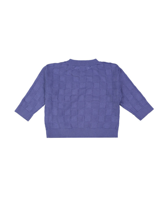 pull mini ruit blauw