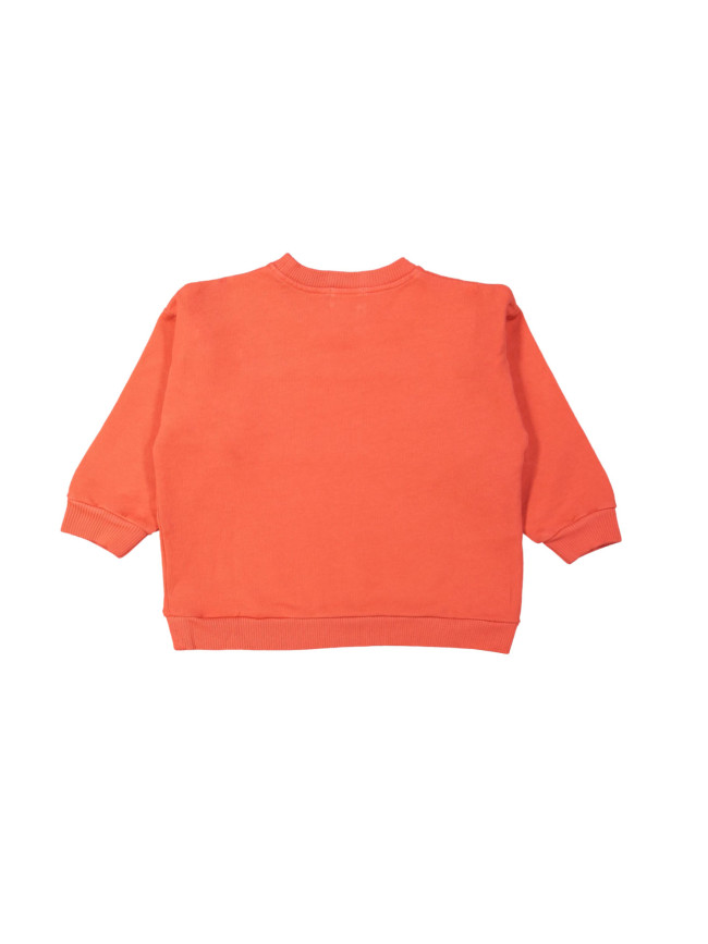 Sweater filou rood 12m
